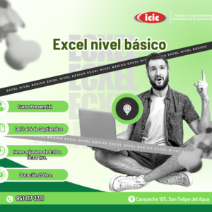 Excel nivel básico