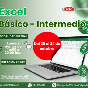 Excel Básico - Intermedio