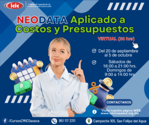 NEODATA Aplicado a Costos y  Presupuestos