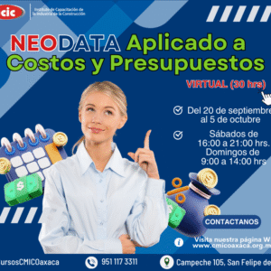 NEODATA Aplicado a Costos y  Presupuestos