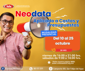 NEODATA APLICADO A COSTOS Y PRESUPUESTOS