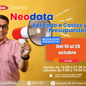 NEODATA APLICADO A COSTOS Y PRESUPUESTOS